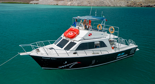 <p>Private Charter — 48-Foot Fast Boats in the Sea of Cortez & Cabo San Lucas</p>