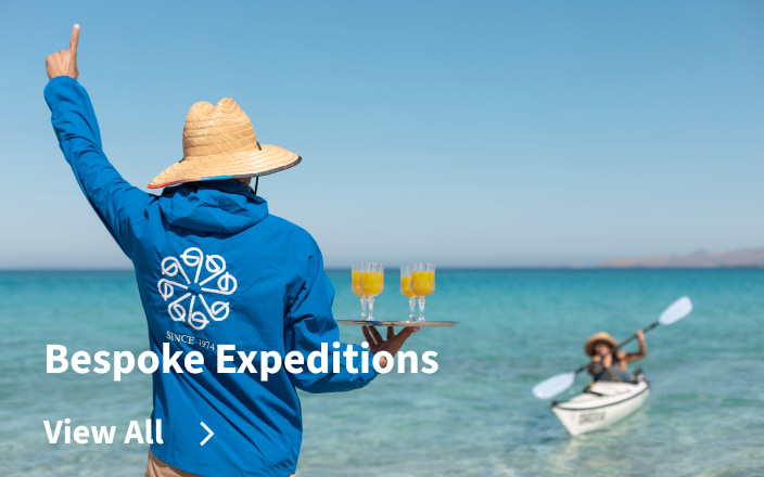 Bespoke Expeditions