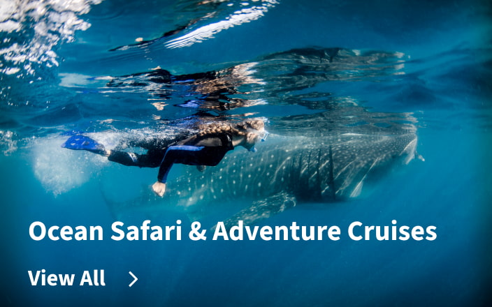 Ocean Safari & Adventure Cruises