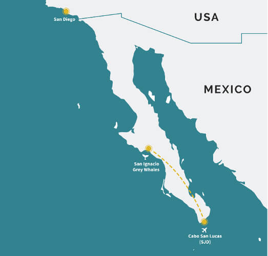 Where is San Ignacio Lagoon