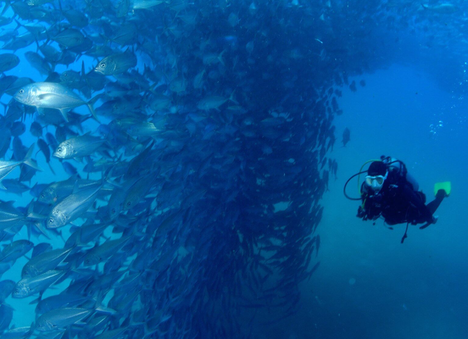 Cabo Pulmo Diving - Baja Expeditions