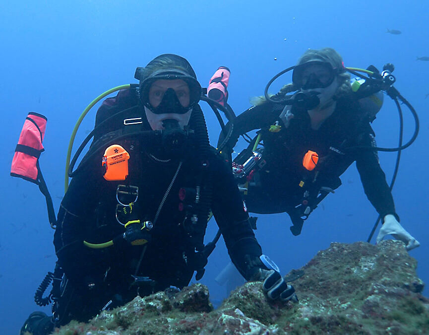 Open Water Scuba certification La Paz