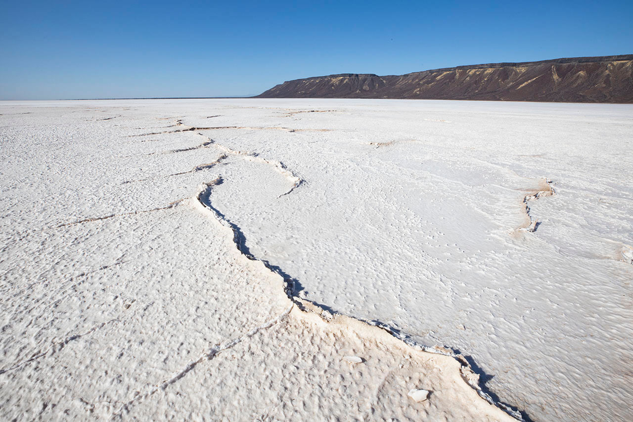 An Unusual Oasis in the Desert Salt Flats of Mexico Baja Expeditions