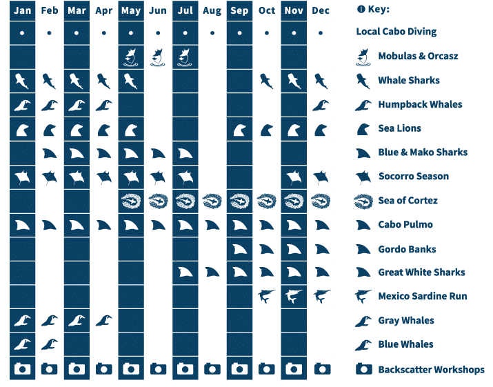 Sea of Cortez wildlife calendar