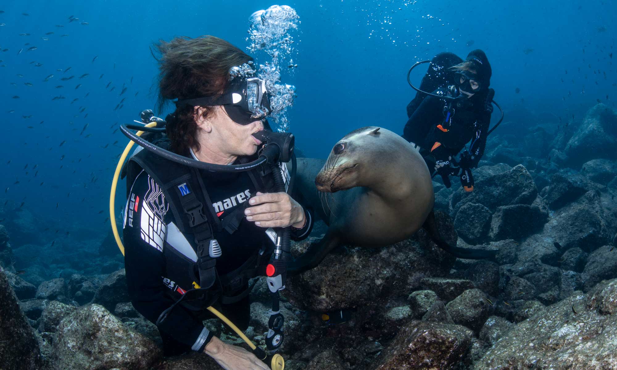 La Paz - Dive with Sea Lions