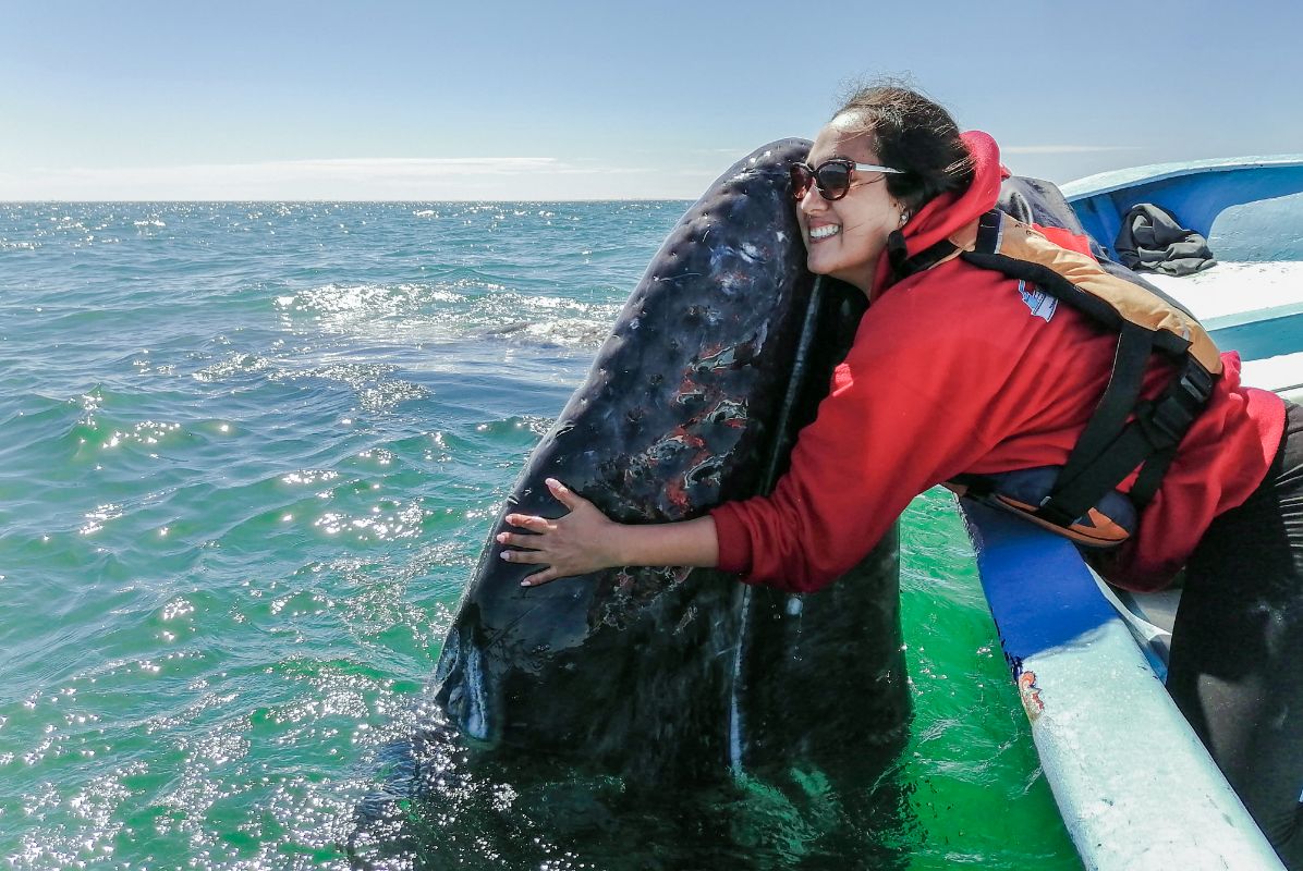 We love gray whales; they fought back against whalers and kicked ass in San Ignacio Lagoon.