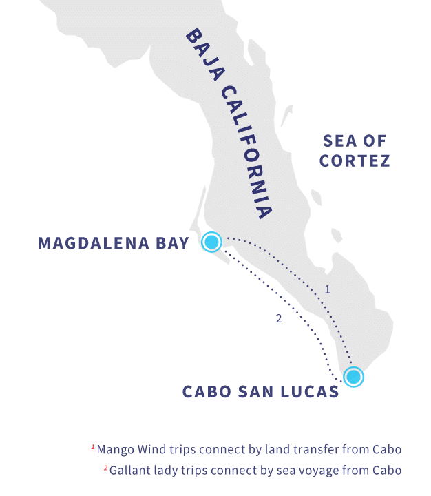 Magdalena Bay Map