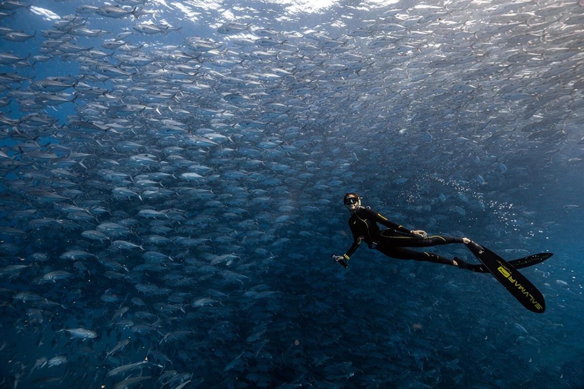Freediving in the Sea of Cortez
