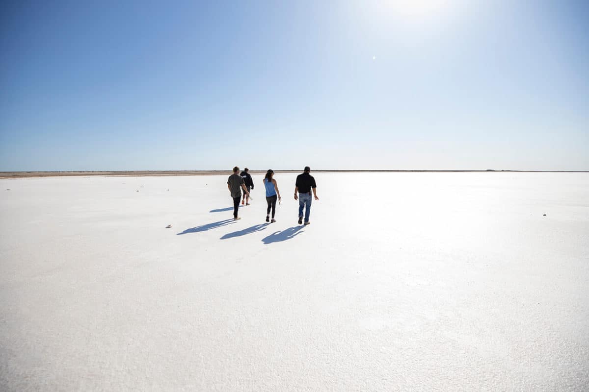 An Unusual Oasis in the Desert: Salt Flats of Mexico