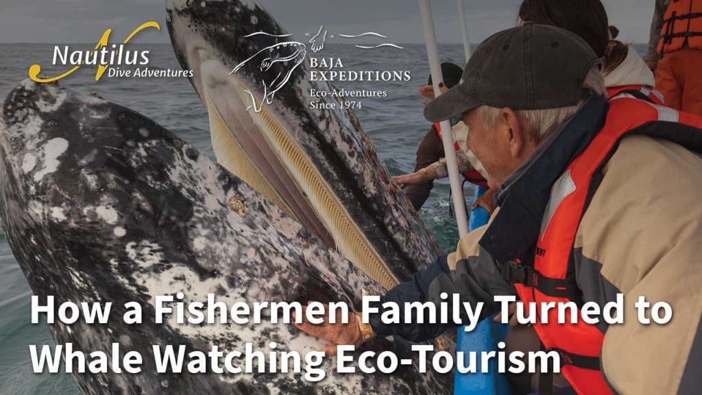 How a fishermen family turned to whale watching ecotourism