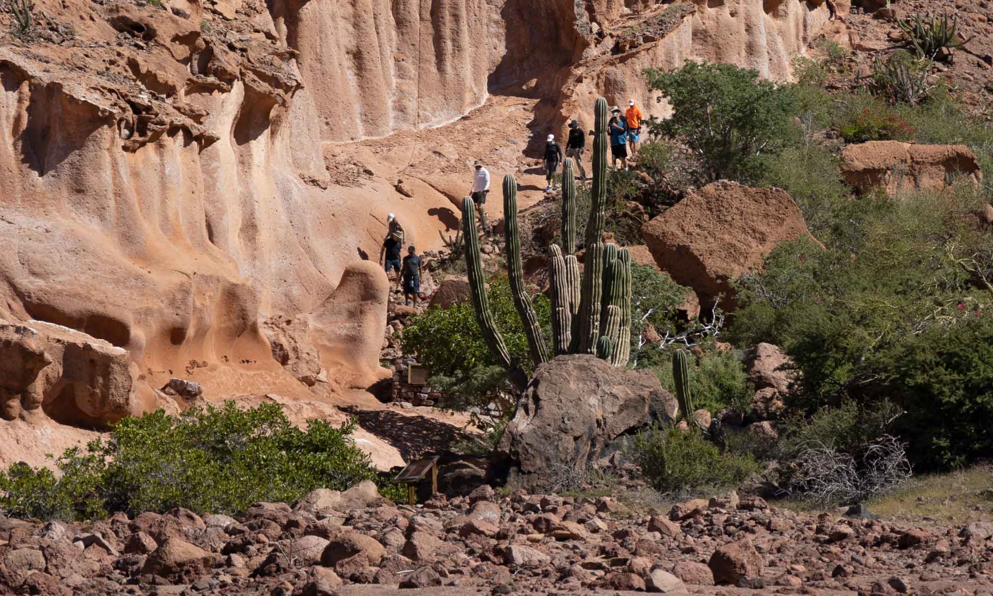 Isla Espiritu Santo hiking and trekking trips