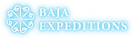 Baja Expeditions Logo