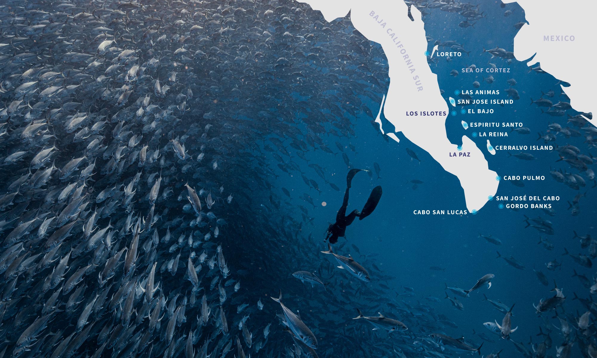 Sea of Cortez Map - Backgroundkhfsidfsdjljfdgdgfghfgh