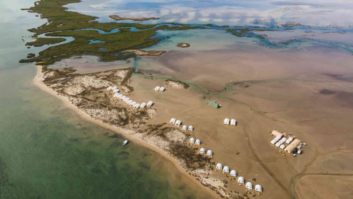SAN IGNACIO LAGOON BAJA MEXICO