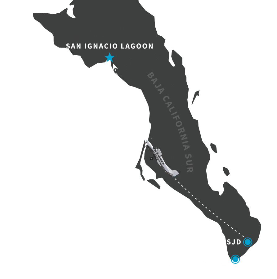 San Ignacio Lagoon is accessible by flight from Cabo San Lucas