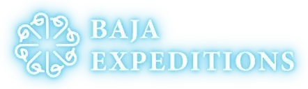 Baja Expeditions