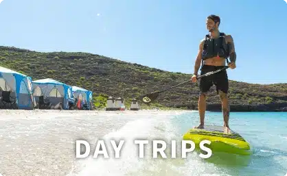 Top-Header-New-Trips