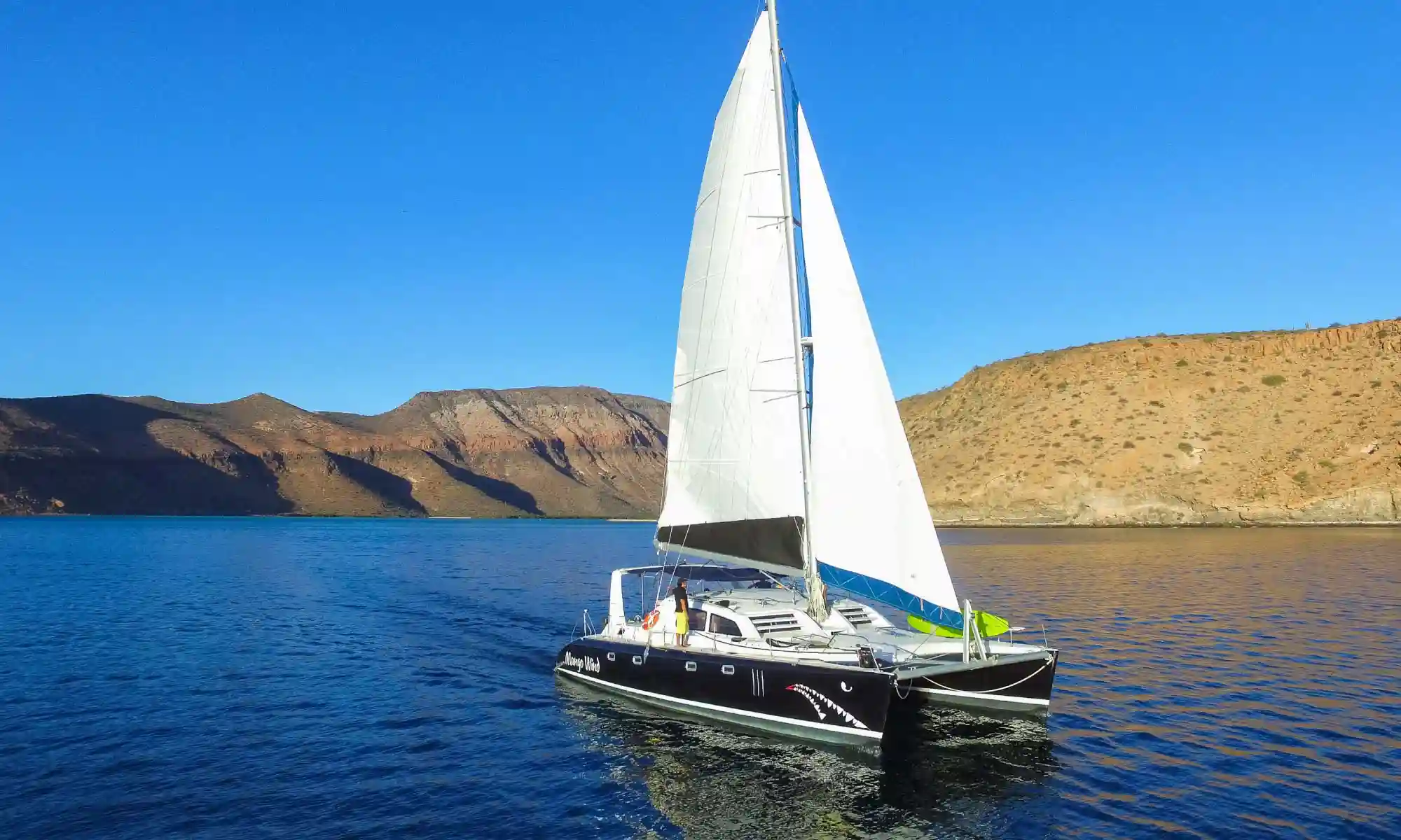 Mango wind sailing the sea of cortez