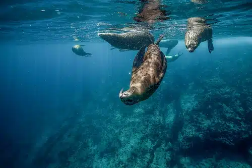 Family Friendly Trips