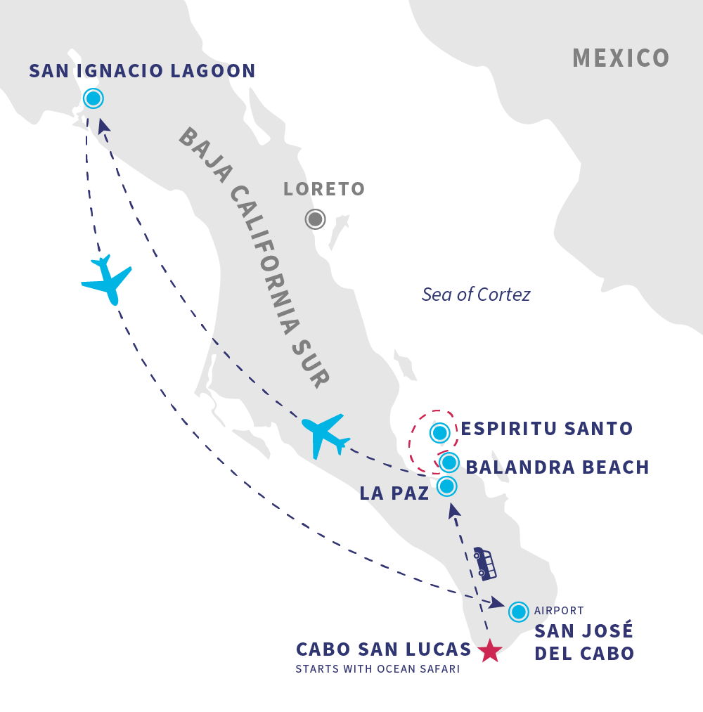 Itinerary for San Ignacio + Baja Blast
