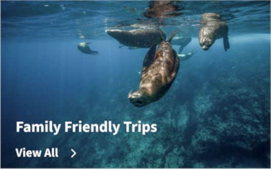 Family Friendly Trips