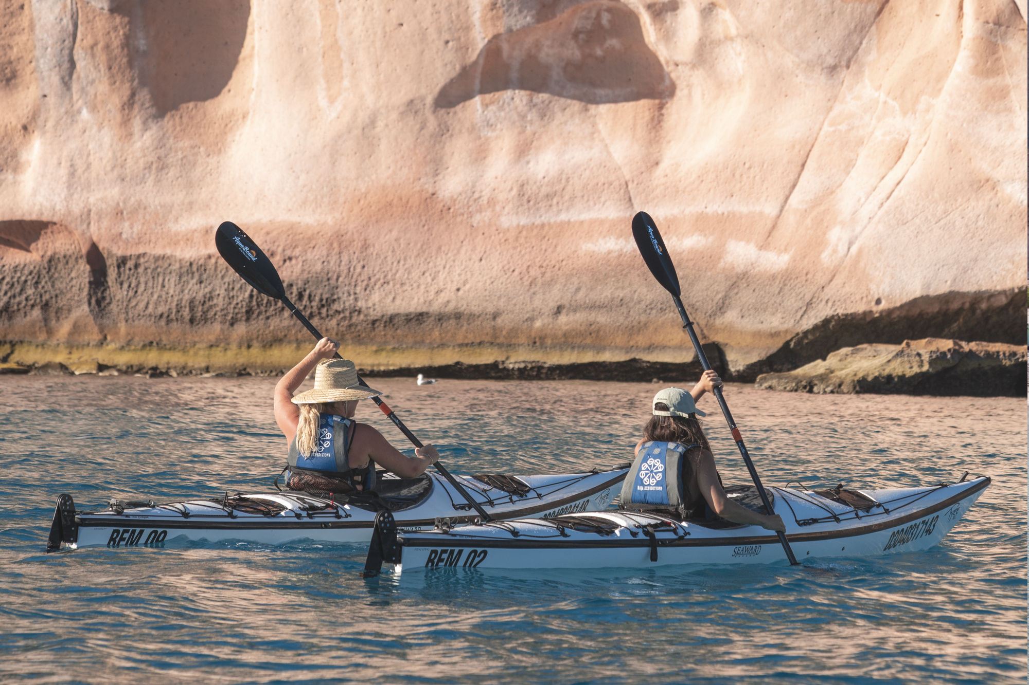Guided sea kayaking in Baja California — trips for all levels
