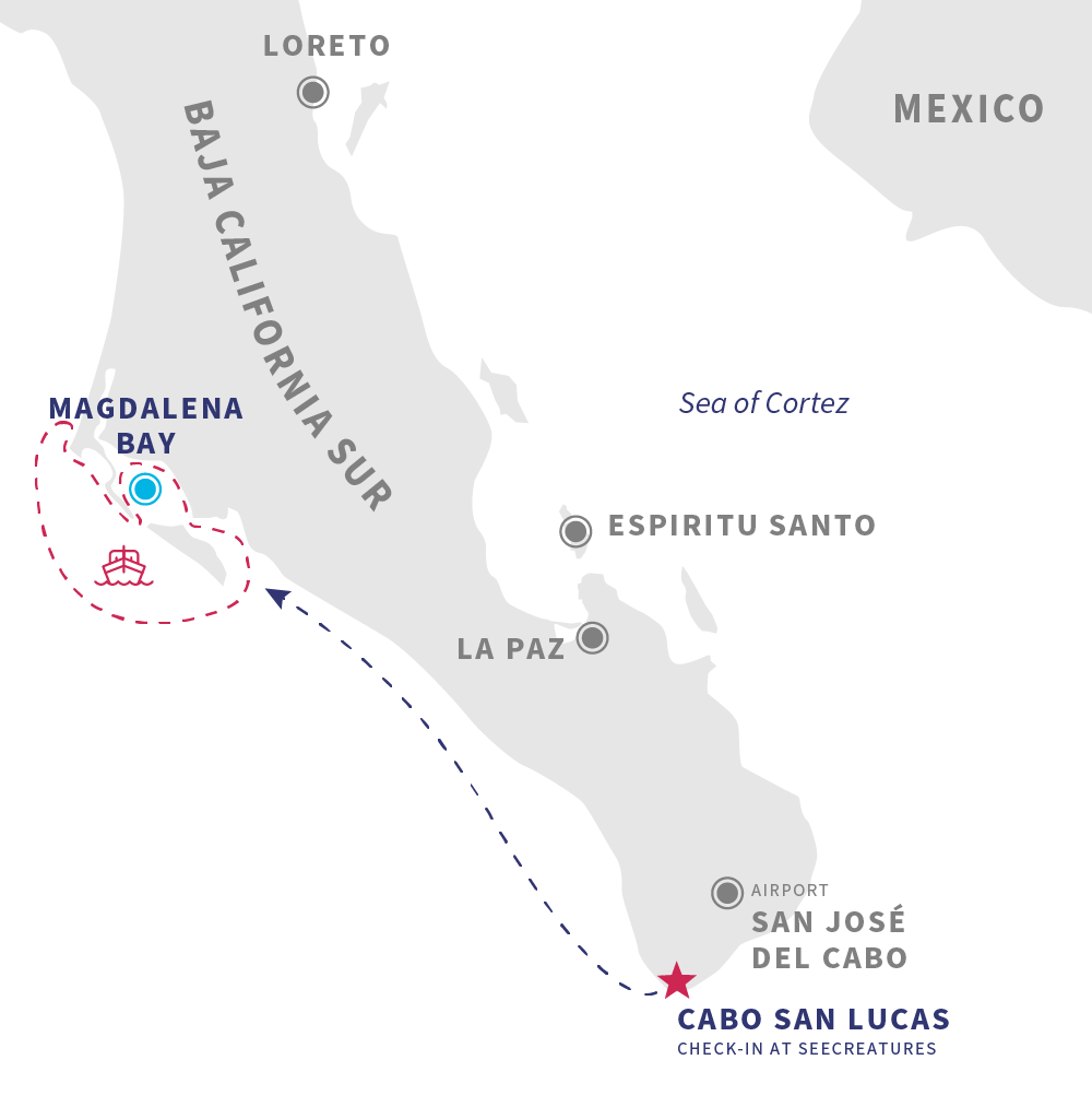 Magdalena Bay Itinerary
