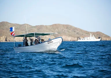Eco conservation with fisherman at magdalena bay