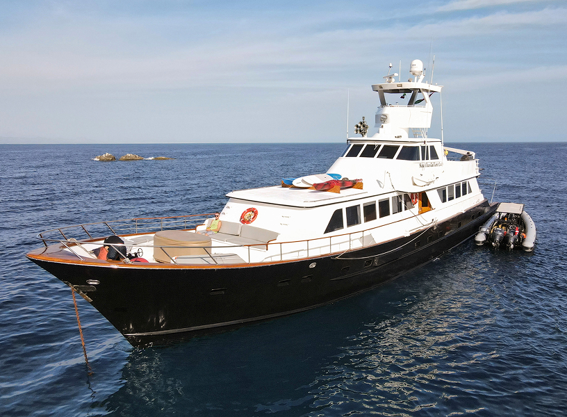 Nautilus Gallant Lady