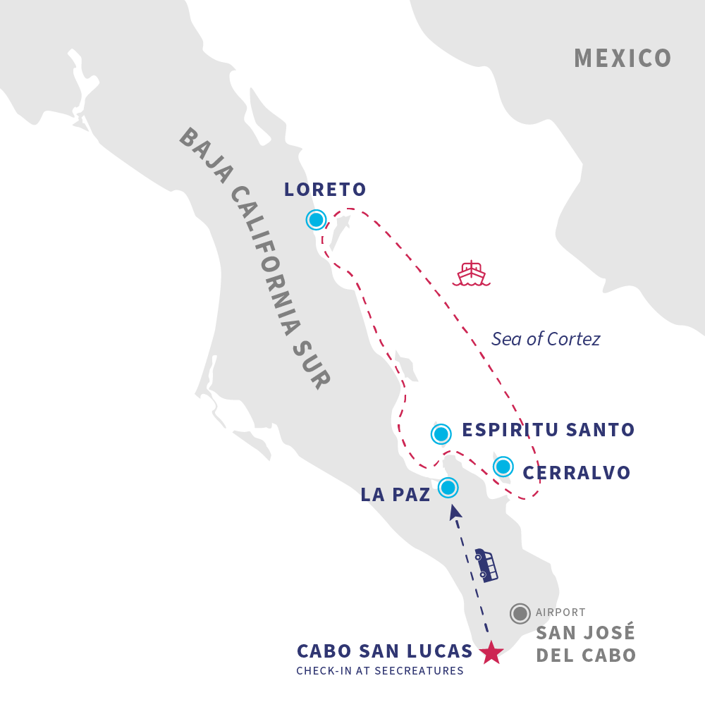 Orca ocean safari in Mexico map