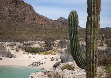 Kayak on a pristine beach