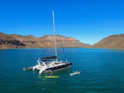 Mango Wind Sea of Cortez Sailing