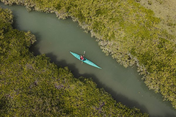 Naturalist-led kayaking at Laguna San Ignacio