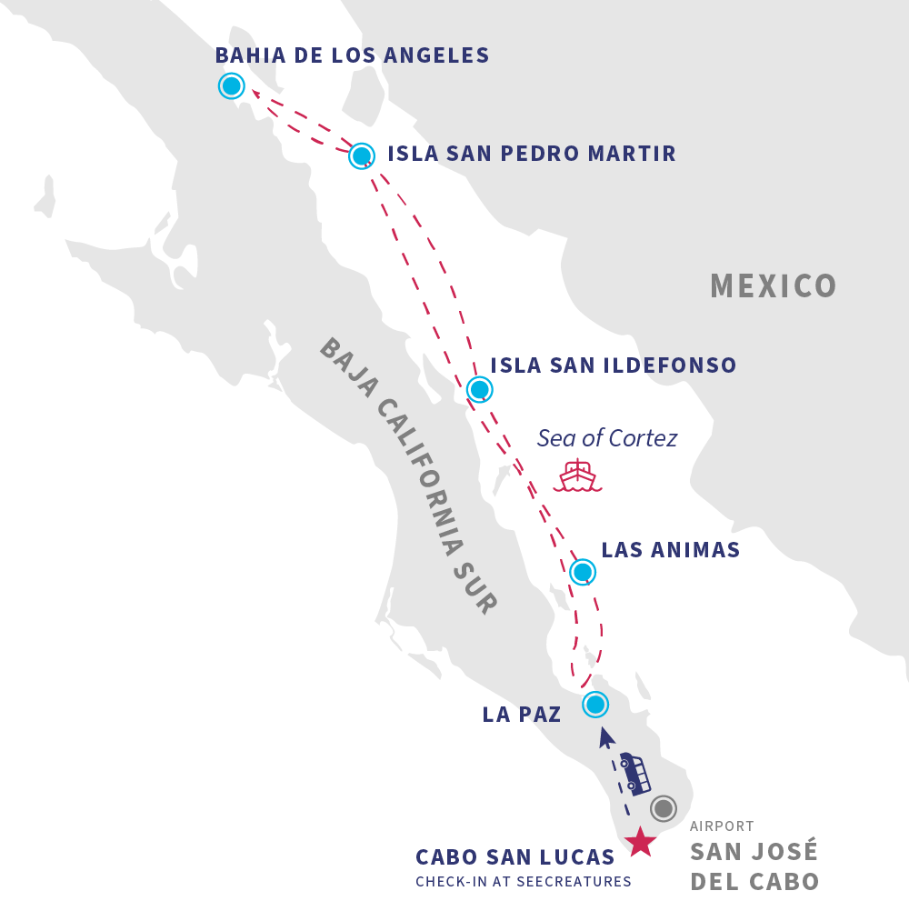Ultimate Whale Sharks Itinerary