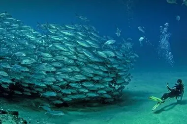 Sea of Cortez La Paz -  Loreto Great Circle