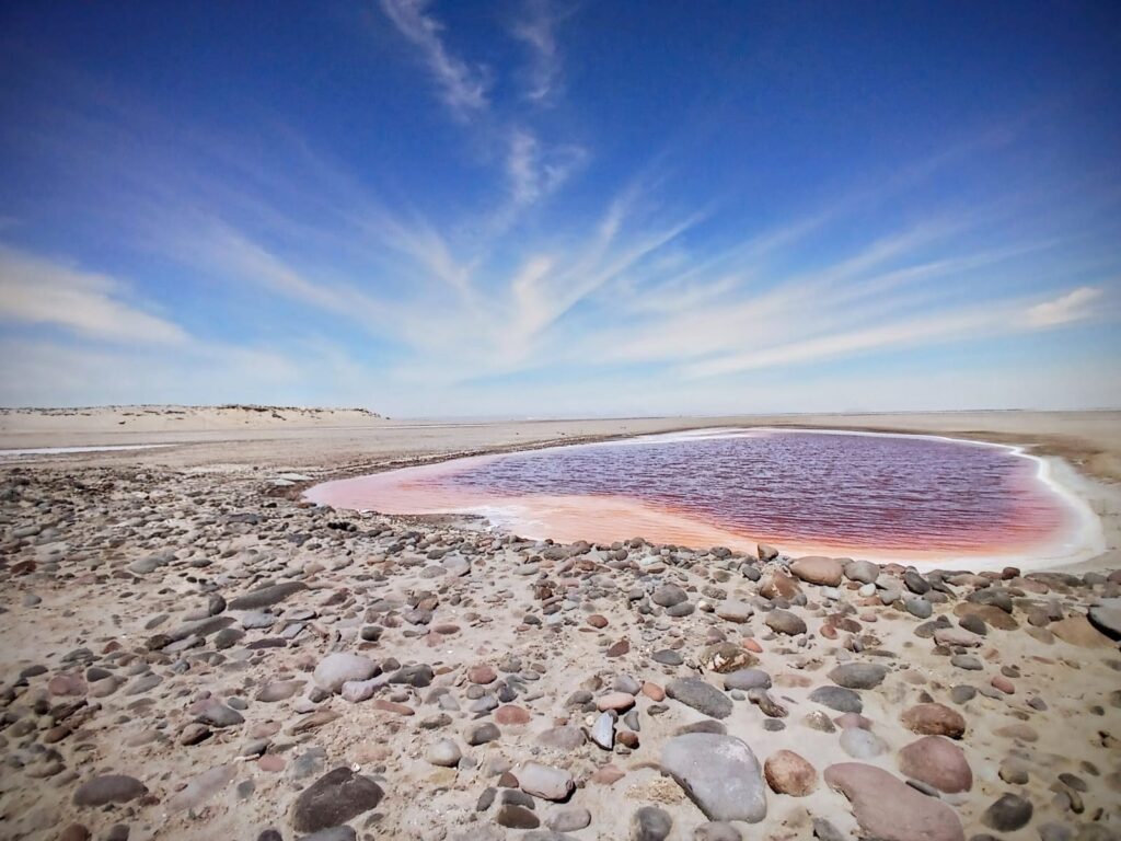 Dramatic desert landscape around San Ignacio Lagoon