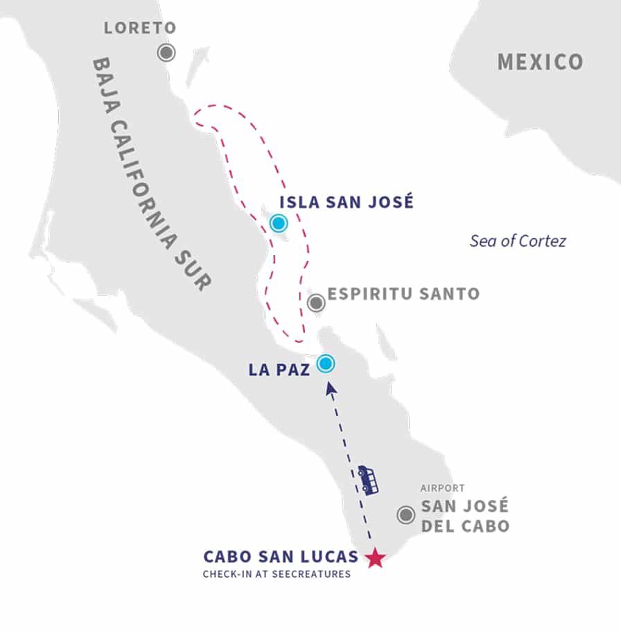 Whale watching, ocean safari and glamping on Isla San Jose in Baja California Sur Map