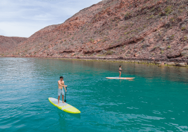 Two people stand-up paddleboarding on calm turquoise water below the red desert hills of Isla San José
