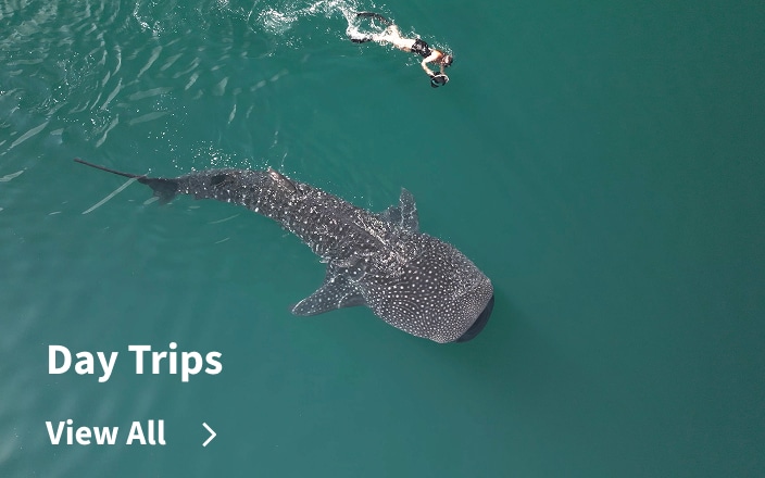 Day Trips