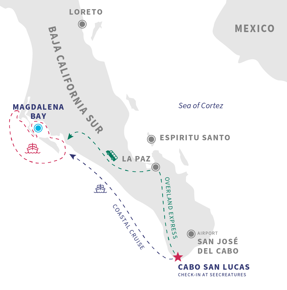 Magdalena Bay Mexico Sardine Run Map