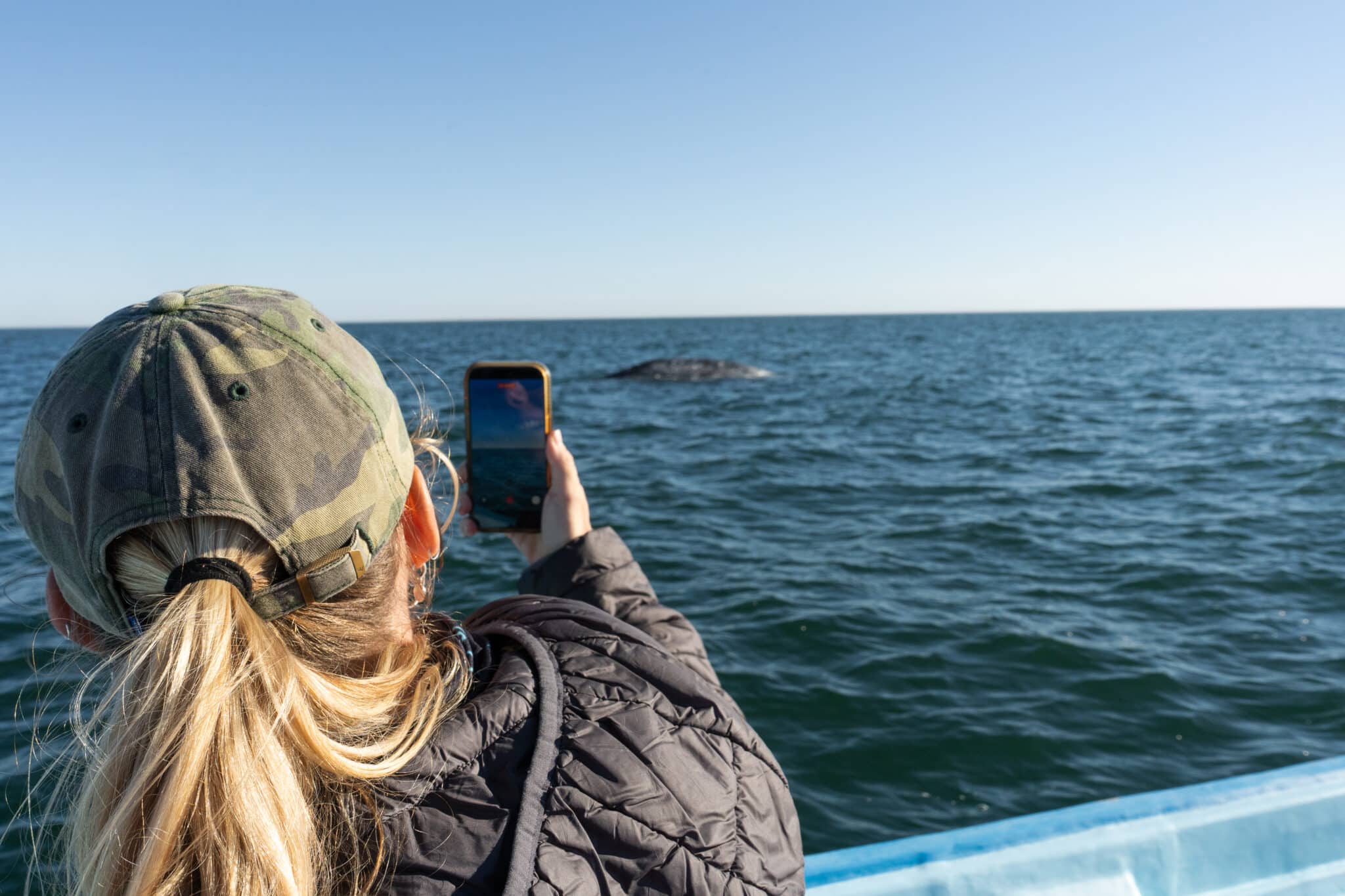 Guest using smart phone to film gray whales in San Ignacio Lagoon